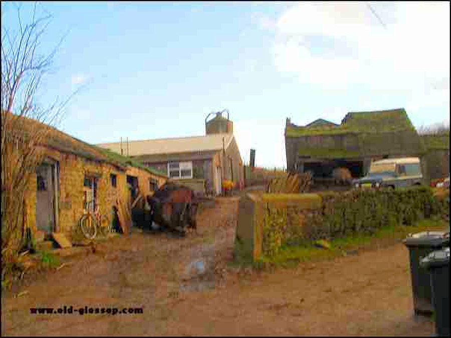 Hall Meadow Farm