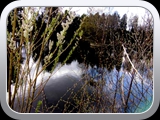 View of Meadow mill pond